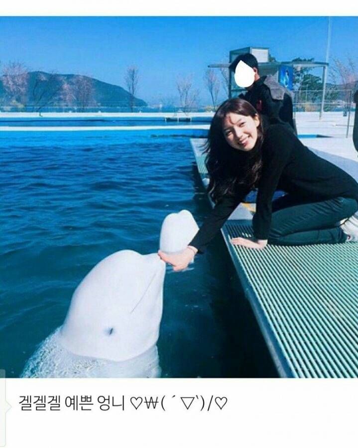 내가 가지고 있는 팬아저.jpg gif | 인스티즈