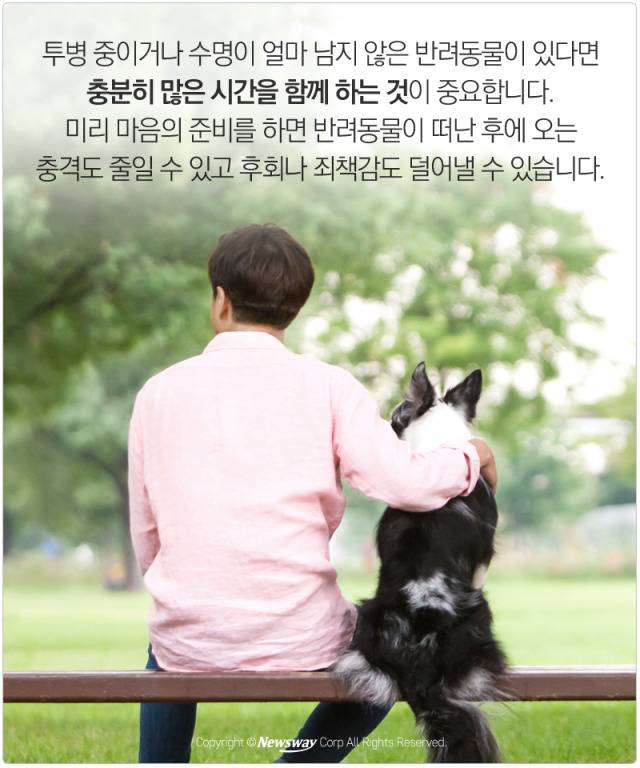 처음 반려동물 만났을때 너무 좋고 예뻐서 전혀 생각하지 못하는 것.jpg | 인스티즈