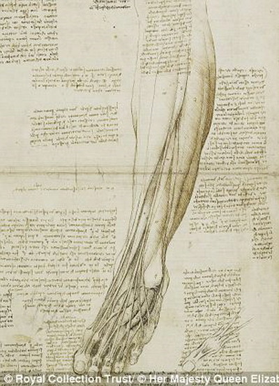 레오나르도 다빈치의 노트필기 | 인스티즈