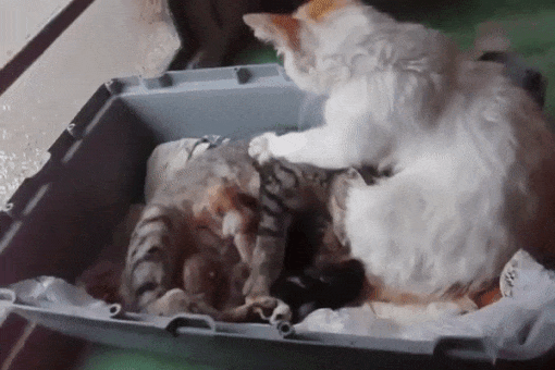 분만실에 들어온 남편 | 인스티즈