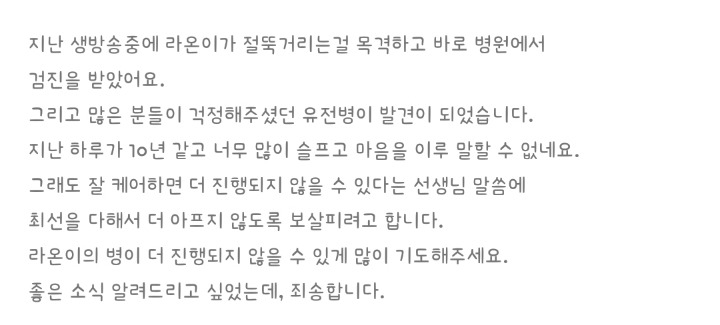 고양이 라온이 건강검진 받다. 그리고 가슴아픈 소식(스코티쉬폴드 유전병) | 인스티즈