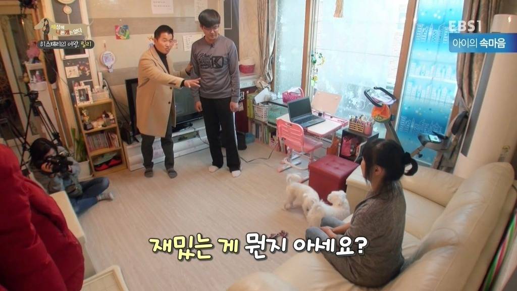 [세상에나쁜개는없다] 가족들에게 짖고 무는 강아지 릴리햏 | 인스티즈