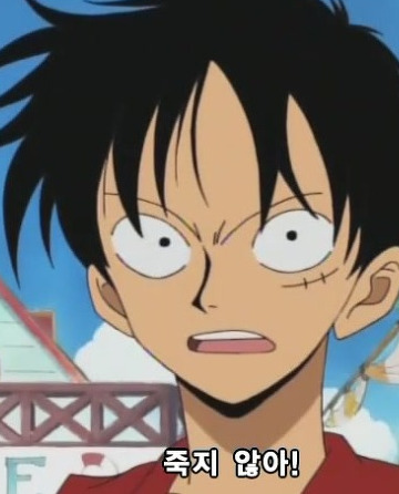 이순신 장군은 루피의 모델이 되었다(모모노스케의 정체) | 인스티즈