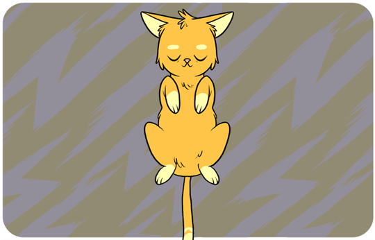 고양이의 행동 언어에 대한 의미들을 알아보자 | 인스티즈