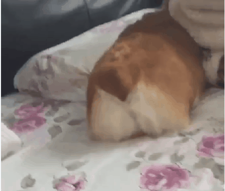 의외로 다리털 수북한 남자 연예인 (반전 & 깜놀 주의!) | 인스티즈