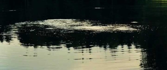 굿나잇 마미 :우리 엄마 어딨어요? 01 | 인스티즈