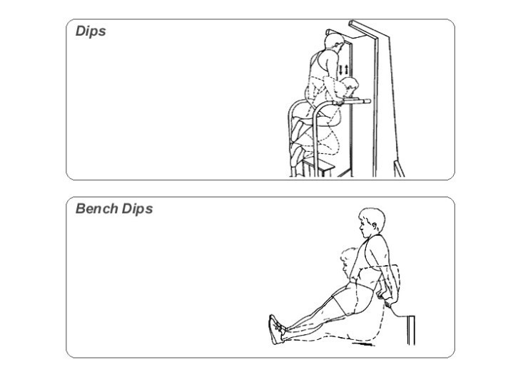 웨이트 시작하시는 분들에게 추천하는 운동과 동작을 이해하는 팁 | 인스티즈