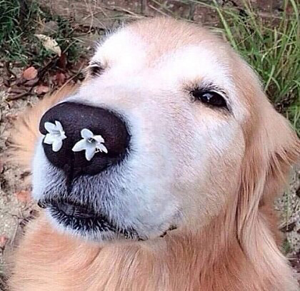 동성애연기를 해보고싶다고 했던 여배우들 | 인스티즈