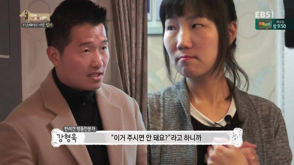 [세상에나쁜개는없다] 가족들에게 짖고 무는 강아지 릴리햏 | 인스티즈