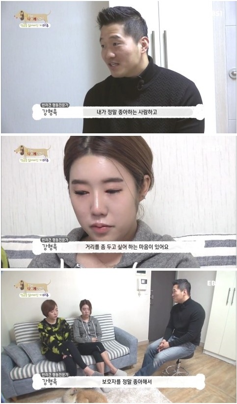 [세상에나쁜개는없다] 애견훈련소 갔다가 얼굴을 잃어버린 마루 (감동이쟈나ㅠㅠ) | 인스티즈