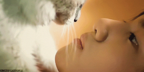 찾아보면 의외로 아주 많은 초졸때 데뷔한 아이돌 모음.jpg | 인스티즈