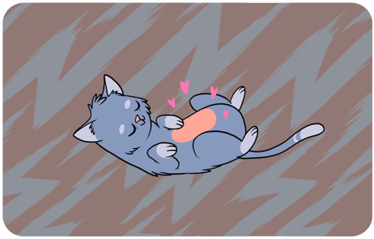 고양이의 행동 언어에 대한 의미들을 알아보자 | 인스티즈