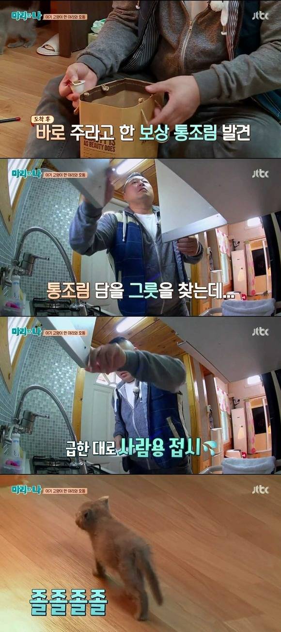 [마리와나] 케미가 냥냥 터지는 강호동과 새끼 고양이 토토.jpg | 인스티즈