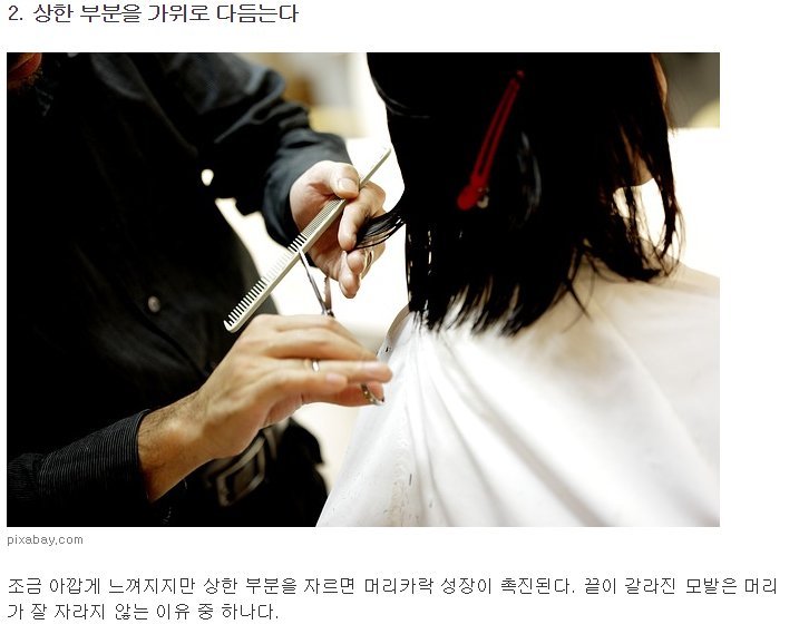 머리 빨리 기르는법 8가지 | 인스티즈