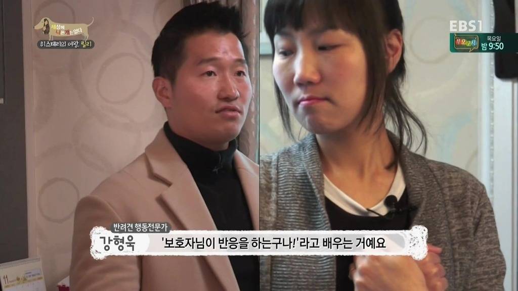 [세상에나쁜개는없다] 가족들에게 짖고 무는 강아지 릴리햏 | 인스티즈