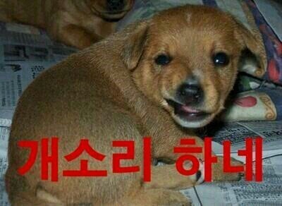 절친들이랑 카톡에서 쓰기좋은 짤방 | 인스티즈