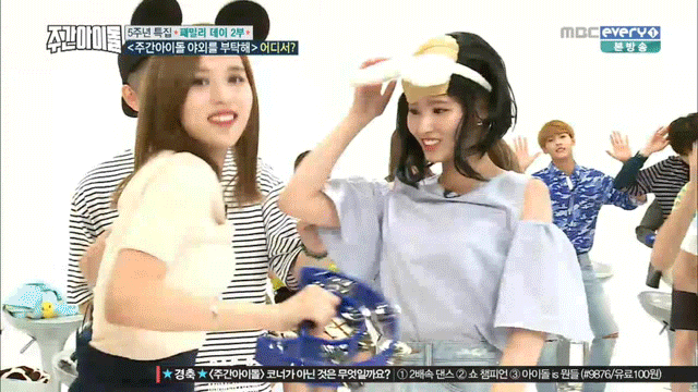 지구를 지키는 9마리의 트와이스 동물친구들 | 인스티즈