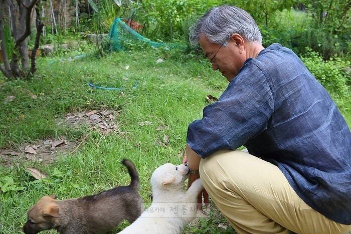 강아지덕후+고양이 집사 문재인 | 인스티즈