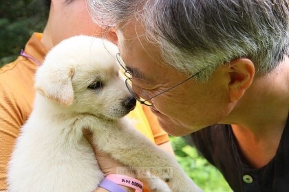 강아지덕후+고양이 집사 문재인 | 인스티즈