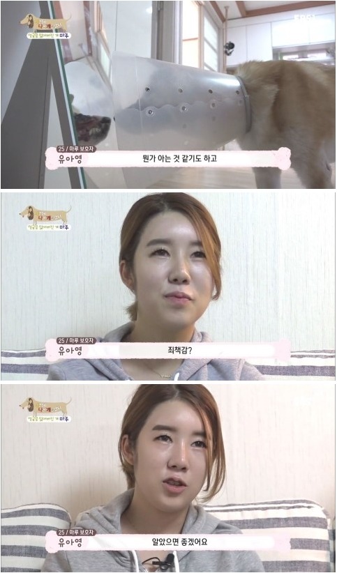 [세상에나쁜개는없다] 애견훈련소 갔다가 얼굴을 잃어버린 마루 (감동이쟈나ㅠㅠ) | 인스티즈