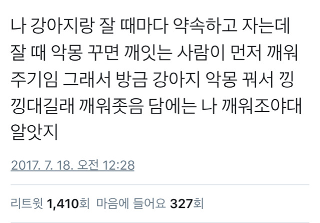 자기전에 강아지랑 꼭 약속하고 자는 사람.twt | 인스티즈