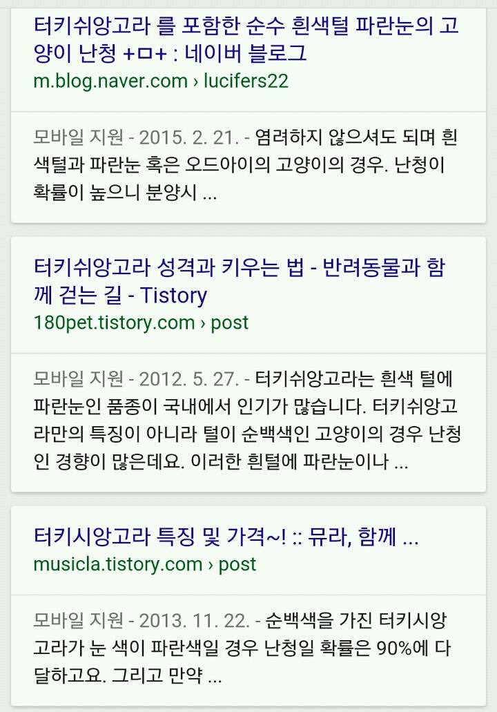 고양이 기르는 사람들 사이에선 꽤 유명한 이야기.txt | 인스티즈