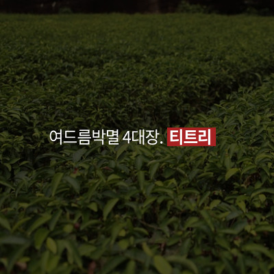 엘모가 말하는 여드름 박멸하는 4가지 방법 (심장어택주의) | 인스티즈