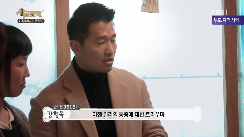 [세상에나쁜개는없다] 가족들에게 짖고 무는 강아지 릴리햏 | 인스티즈