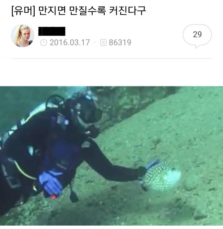 패닝맘이 누군지 찾아보았다 | 인스티즈