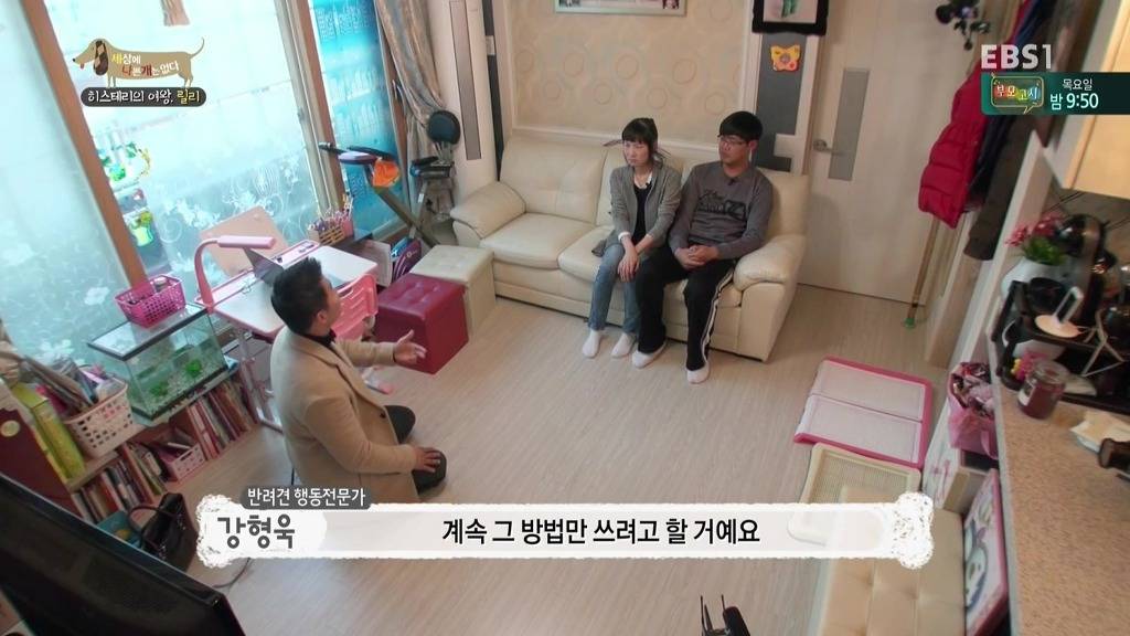 [세상에나쁜개는없다] 가족들에게 짖고 무는 강아지 릴리햏 | 인스티즈