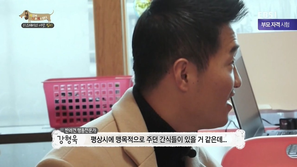 [세상에나쁜개는없다] 가족들에게 짖고 무는 강아지 릴리햏 | 인스티즈