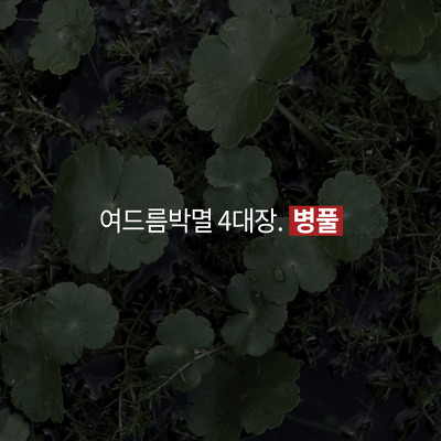 엘모가 말하는 여드름 박멸하는 4가지 방법 (심장어택주의) | 인스티즈