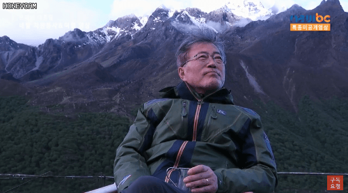 자연과 모든 동식물을 사랑하시는 문재인 대통령 일화 | 인스티즈