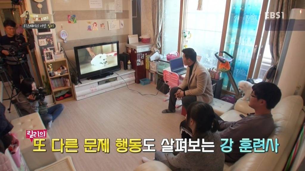 [세상에나쁜개는없다] 가족들에게 짖고 무는 강아지 릴리햏 | 인스티즈