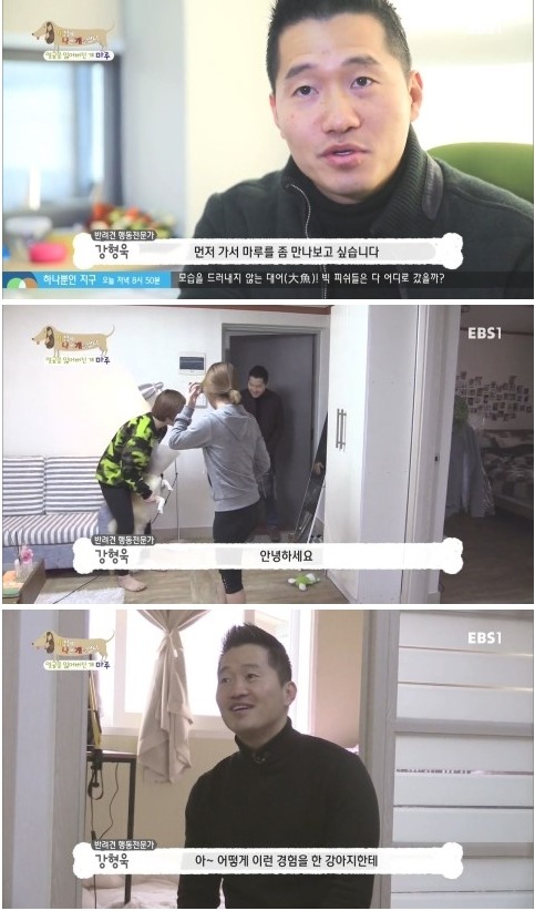 [세상에나쁜개는없다] 애견훈련소 갔다가 얼굴을 잃어버린 마루 (감동이쟈나ㅠㅠ) | 인스티즈