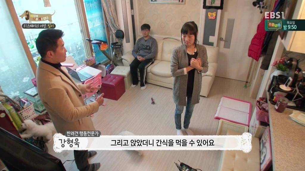 [세상에나쁜개는없다] 가족들에게 짖고 무는 강아지 릴리햏 | 인스티즈