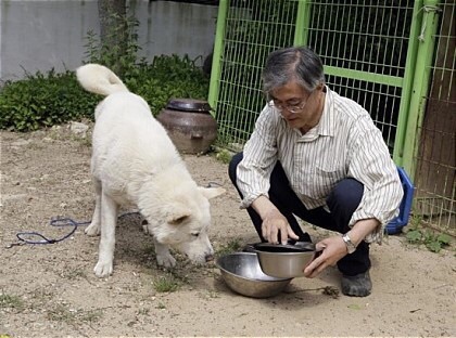 강아지덕후+고양이 집사 문재인 | 인스티즈