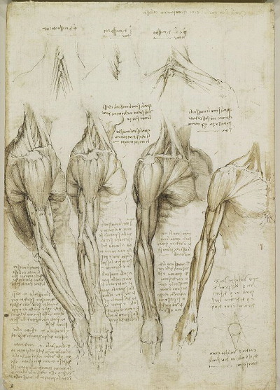 레오나르도 다빈치의 노트필기 | 인스티즈