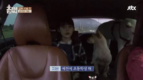 [효리네민박] 아이유 팬을 바라보던 이효리. jpg | 인스티즈