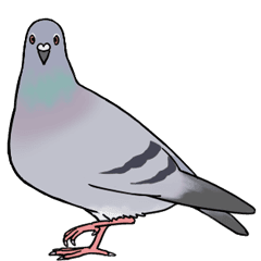 진심으로 무섭다 vs 걍 드러워서 피한다로 나뉘는 동물.jpg | 인스티즈