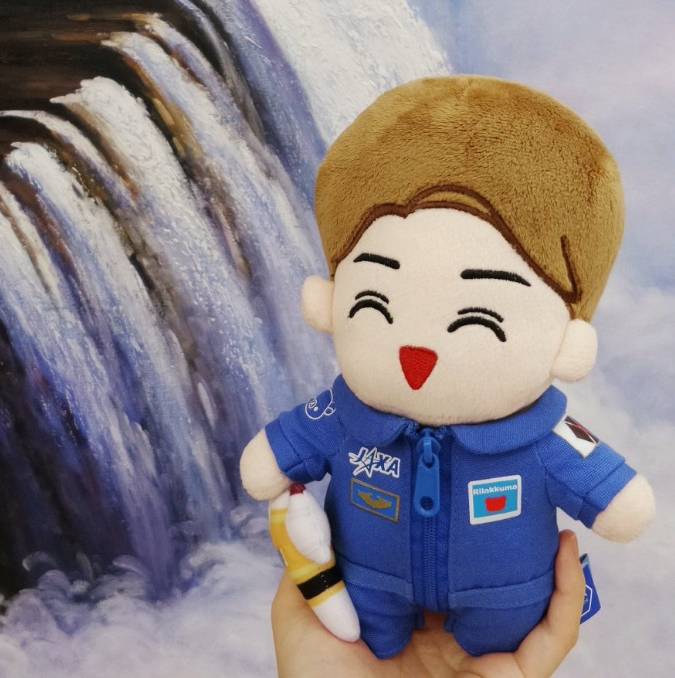 시중에 판매해도 좋을 것 같은 아이돌 인형들 모음 | 인스티즈