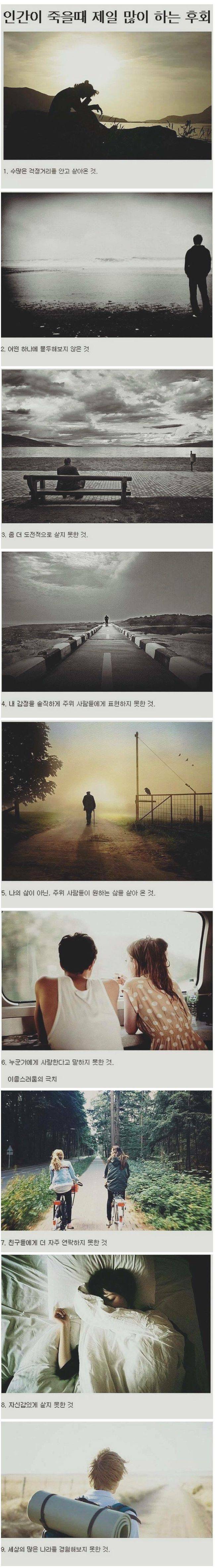죽을때 가장 많이 후회하는것 | 인스티즈