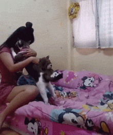 집사 우는데 위로해주는 고양이 | 인스티즈