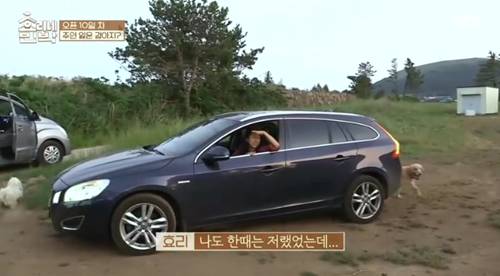 [효리네민박] 아이유 팬을 바라보던 이효리. jpg | 인스티즈