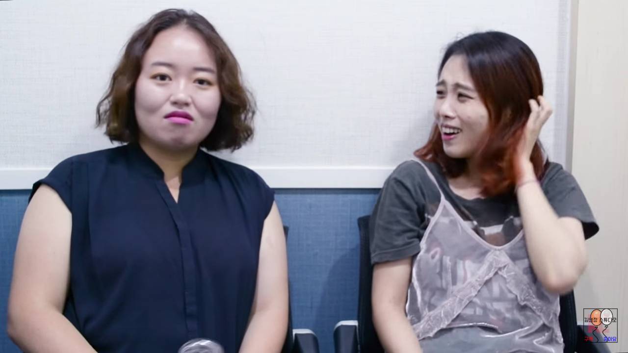 흥미로운 연예부 기자 유투버 두명이 말하는 설리에 대한 기자들의 시선 | 인스티즈
