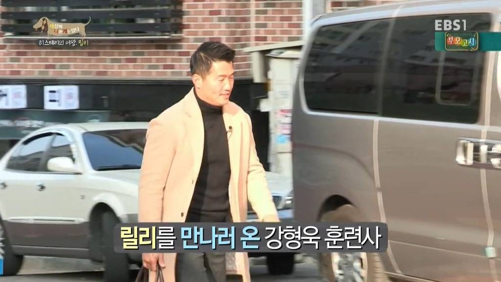 [세상에나쁜개는없다] 가족들에게 짖고 무는 강아지 릴리햏 | 인스티즈