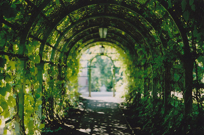 아이돌이 작사한 인상깊은 가사들 | 인스티즈