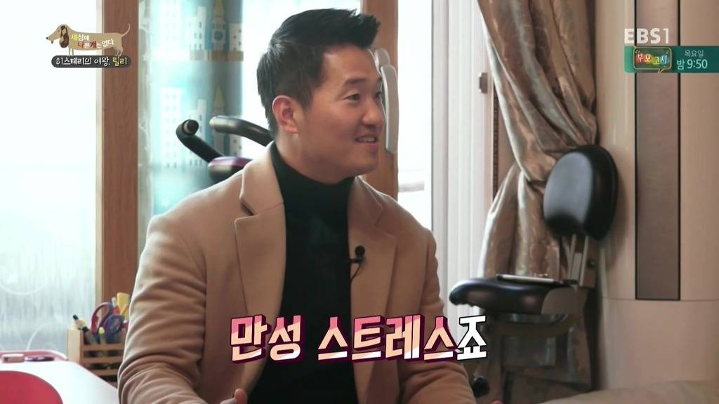 [세상에나쁜개는없다] 가족들에게 짖고 무는 강아지 릴리햏 | 인스티즈