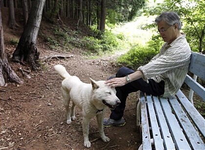 강아지덕후+고양이 집사 문재인 | 인스티즈