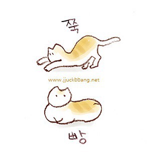 한국이 여자에게 세뇌시킨 것 | 인스티즈